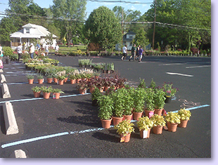 Plant Sale-1