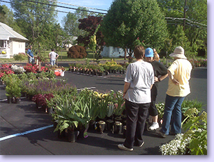Plant Sale-2