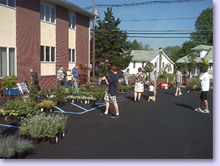 Plant Sale-3